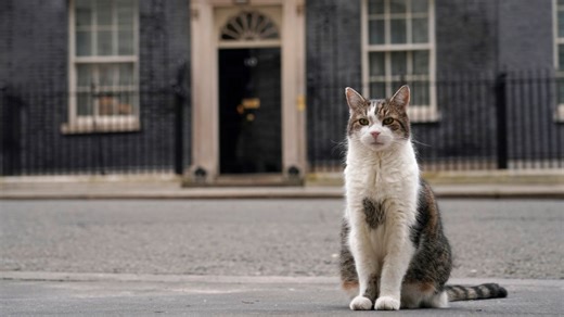 Larry the cat, the Chief Mouser to the Cabinet Office, is celebrating 15 years as the British government’s official rodent-catcher. The unofficial first feline has served under six prime ministers. | AP