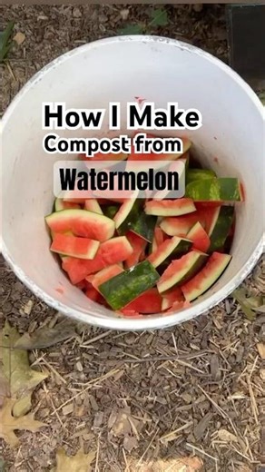 Watermelon Rinds=Black Gold #composting #zerowasteliving #soilhealth
