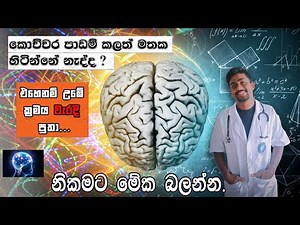 කොහොමද මතක හිටින විදියට පාඩම් කරන්නේ..
