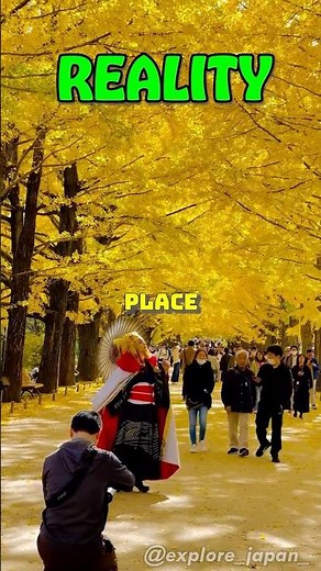 Social Media vs Reality✈️