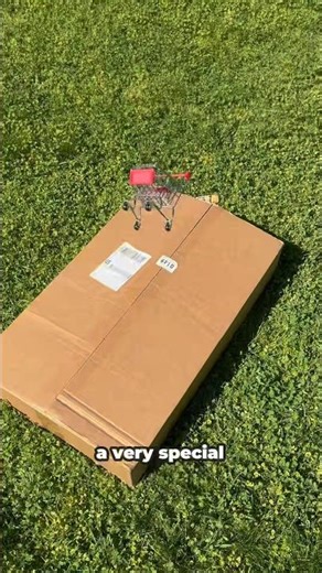 Suprise fingerboard package unboxing #fingerboard #fingerskate #skate #lcboards #techdeck