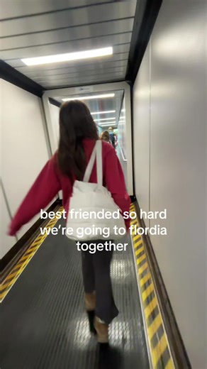 Exploring the Best of Florida: Vacation Highlights