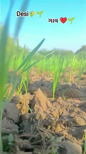 farmer new post trending short vidio#shortsvideo #newvideo #trendingshorts