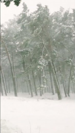 Calm Relaxing Winter Ambience Sounds Heavy Snowstorm and Howling Wind