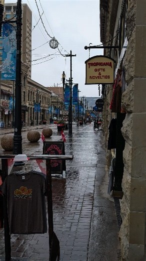 66 reactions · 16 comments | Christmas showers bring May flowers? Or something like that. Maybe we'll get January flowers? The weather is so unusual lately. Probably that Justin Trudeau guy doing this!!  #Calgary #yyc #Alberta #Canada #weather #downtowncalgary #teampixel | CMcalgary | Facebook