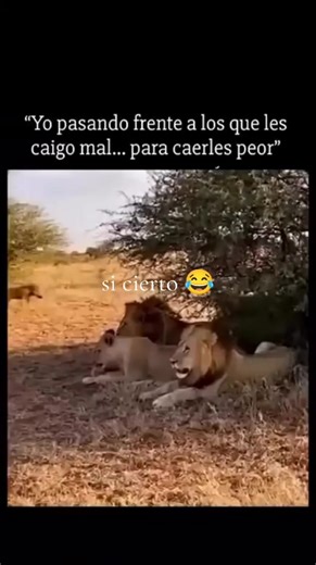 Videos de Claudia De la cruz (@claudia.de.la.cru24) con “sonido original - Claudia De la cruz”
