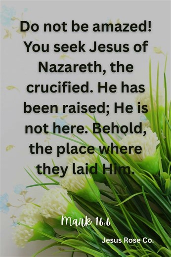 Catholic Bible Study | Mark 16:6 | Jesus Rose Co. ✝️