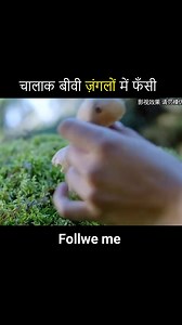 714K views · 10K reactions | Short Story Explain in Hindi skmodi #short #story #explain #reelsfacebook #Explained #rajasthaniji #trendingnow #viralreelsシ #trendingpost #viralreelschallenge #trend #romance #movies | skmodi official | Facebook