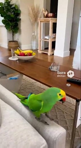 Parrots Gone Wild: Funniest Footage You’ll See Today!