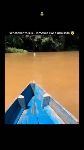 globalreel.oi on Instagram: "specific victim. A homemade sensor rig waits for movement. The device sits quietly on a wooden table with popsicle stick rails guiding the path. Suddenly a large cockroach runs straight into the corridor. It triggers a motion sensor hidden inside the white housing. A servo motor instantly activates and drops a plastic gate to pin the insect in place. A red LED lights up on the breadboard to confirm the capture. Then the logic board triggers the punishment phase. Five