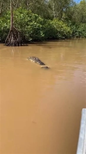 The next evolution of simulation is here. Introducing the ES1 Haptic and ERS3 Haptic, fully integrated haptic seats that revolutionize your gaming experience. Eight high-torque motors deliver unparalleled realism, sharper feedback, and faster responses than ever before. 🔥 Submerge yourself in the game with a seat engineered directly into the foundation of your simulator - not just placed on it. Experience controlled feedback powered by HF8 Pro performance for an immersive ride like no other. | 