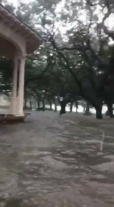 484K views · 2.3K reactions | VIDEO - FLOODED DOWNTOWN CHARLESTON PARK Here's another video of the flooded White Point Garden in downtown Charleston. The photographer shows the gazebo just barely rising past all the water. Source: Danny Taylor. MORE PICS/VIDS >> https://buff.ly/2xtaVvt | Live 5 News | Facebook