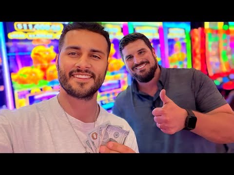 $500 Panda vs Tiger Slot Showdown — Which One Pays More?