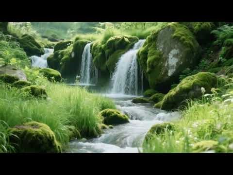 Small Streams in the Forest, Beautiful Birdsong, Nature Sounds, ASMR