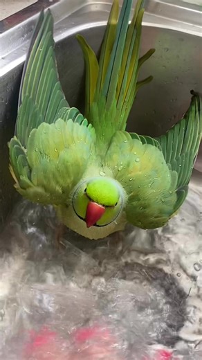 Anita Trimarchi on Reels