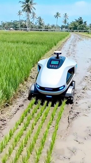 2.2M views · 10K reactions | New technology machine aaya hai ❤️ #reels #fyp #Amazing #trending #viral #technology #machine #love #reel #trend #Shahnawaz | Shahnawaz Offical | Facebook