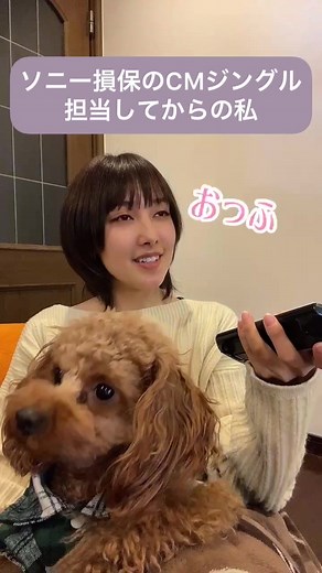 ソニー損保のCMとTikTokでの楽しみ方