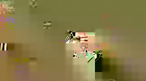 2.7K views · 43 reactions | How to use the 24v BullX Mini Remote Lure Machine. | BullX Training Falconry & Hawking | Facebook