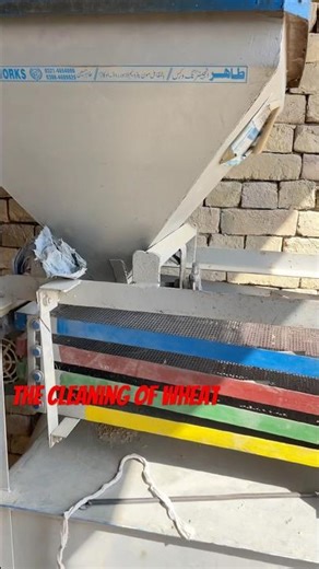 Wheat cleaning machine #cleaning