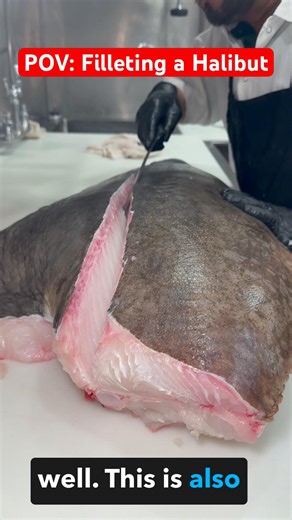 How a Fresh Halibut Is Professionally Filleted