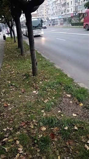 Irisbus Crossway BC88STP pe linia (22). ‪@Edi929‬