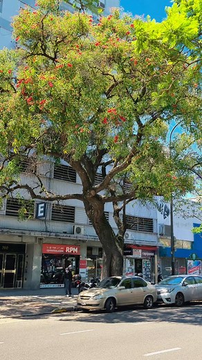CABA Argentina 😉 🇦🇷 | Josefina Beatriz López