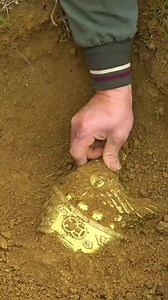 1.4M views · 10K reactions | Wild treasure hunt discovers a golden rooster guarding the treasure #reels #shorts #fyp #viral #finder #finding #treasure | V Skill | Facebook
