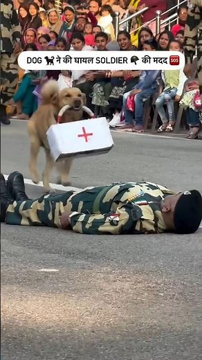 dog specialist of cpr #crpf #army #militarypowe #armypolice #news #foji #police #tourofduty #police