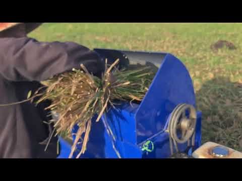 Techniques for Threshing Rice Seeds Using Agricultural Tools and Machines — Agriculture Farming