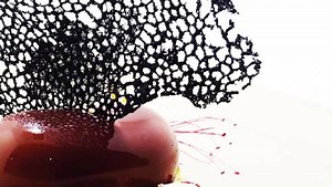 Chesscake glaseado! !! | Molecular Chef México | Facebook