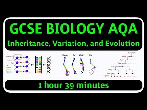 GCSE Biology AQA - Inheritance, Variation and Evolution Topic