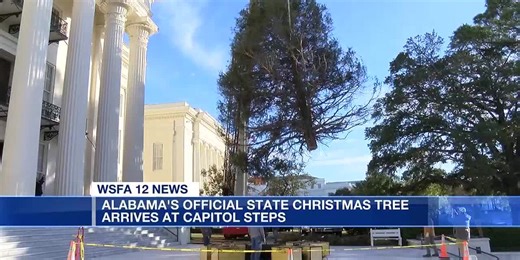 Alabama's official state Christmas tree arrives at Capitol steps