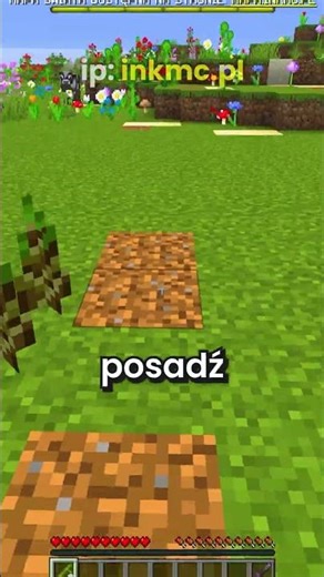 INKMC.PL ✅ Wersja: 1.16.5-1.21.10 🔥