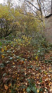 ☹️ Abandoned Sanders Home Pt-2 ☹️ ● So much history lost ● ●Great Barr● 👍 Drop us a follow 👍 Sanders Home Great Barr was opened in April 1926. It offered accommodation for children under the age of five years. A small children's unit, run on hospital lines, remained on the estate until 1932. #viralvideochallenge #blackcountry #history #hospital #explore #greatbarr #people #urban #urbanexploration #fypシ゚viralシ | Dudley Explorers Worldwide