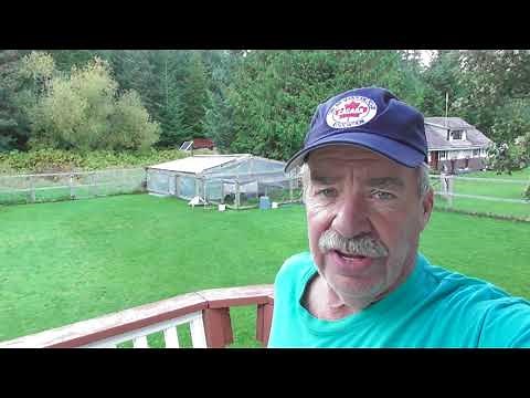 Dimplex Linear Convector Baseboard Heater 3 Year Update