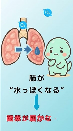 「息をしても、息ができない」——肺水腫の本当の苦しさを知る。＃看護学生#解剖生理学 #看護師国家試験 #呼吸器 #看護実習#Canva＃肺水腫＃つながる理解
