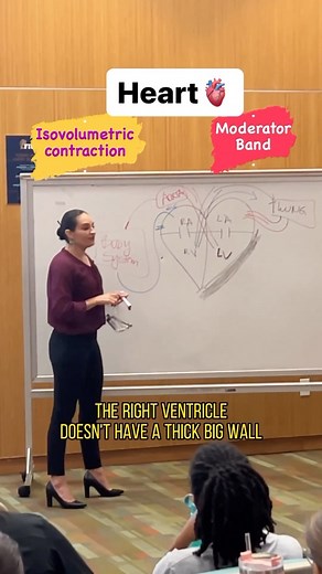 139K views · 10K reactions | Heart 變✅Isovolumetric contraction ✅ Moderator band Make sure to follow @wittyanatomy_ and @cardiovisual for more educational content! #nurse #futureflightnurse #futuredoctors #anatomy #cardiac #heart #studentnurse #cardiacnurse #cardiology #cardiologist #nursepractitioner #medstudent #medicalstudent #teacher #passion #cardiovascular | CardioVisual | Facebook