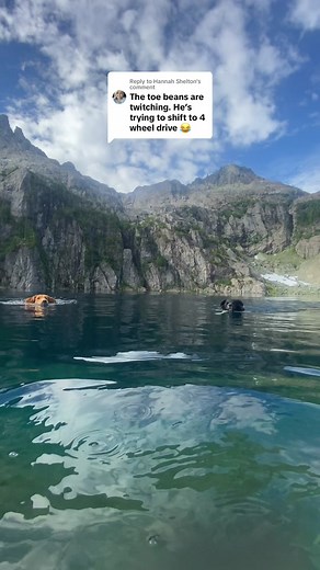 Replying to @Hannah Shelton loki’s gears are a little rusty but they still work! 😅👍 #dogsoftiktok #dog #underwater #dogswimming