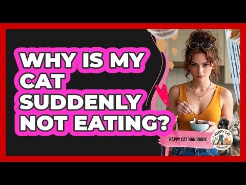 Why Is My Cat Suddenly Not Eating?