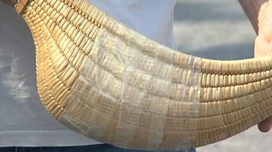 Pays basque : pelote, fronton, chistera... une histoire de passions