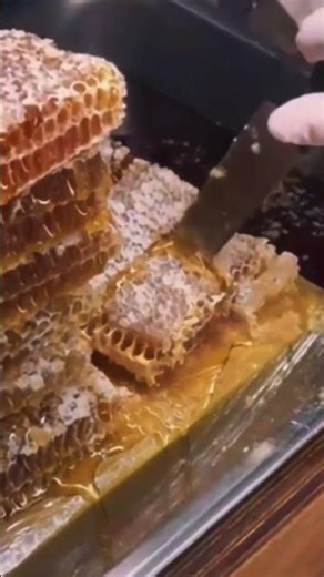 Original taste honey 🍯 | Pure Honey in Pakistan #shots #honey