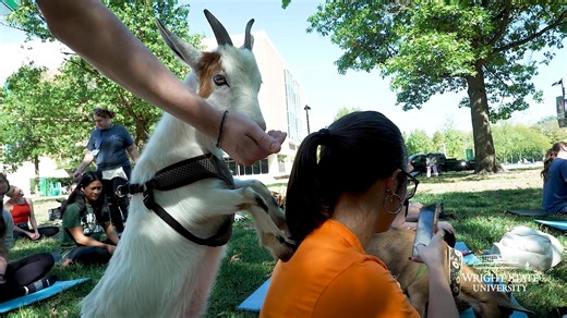 3.6K views · 67 reactions | From goats to gourds, Wright State found fun ways to support mental health during last week's World Mental Health Day events.  “Wright State is a community that cares about mental health and wants to support the mental health of its students, staff and faculty,” said Sara Baker, wellness and health program manager in Counseling and Wellness Services. | Wright State University | Facebook