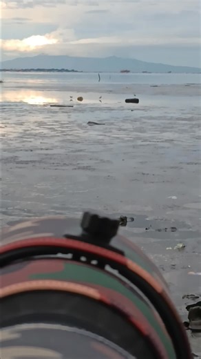 🐦Pacific Golden-Plover 📍Las Piñas Parañaque Wetland Park 🗓️ January 03, 2026 📷 #olympus E-M1X | M.Zuiko 150-600mm with 1.4x TC #birdphotography #BirdWatching #wildbirdphotography #birdlife #wildlifephotography #birds #wildlife #wildbirds #olympus #fblifestyle | Norman Celis