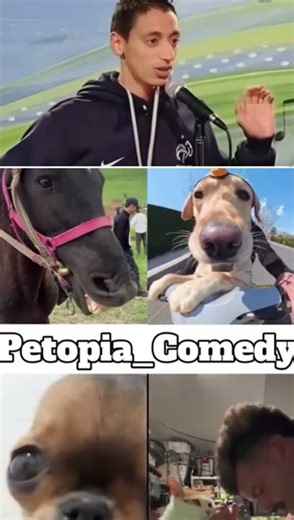 animal funny short try not to laugh chellange funny short || ak react