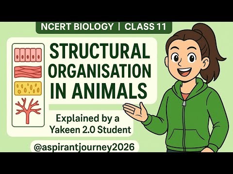 "Structural Organisation in Animals | NCERT Class 11 Biology | Zoology"