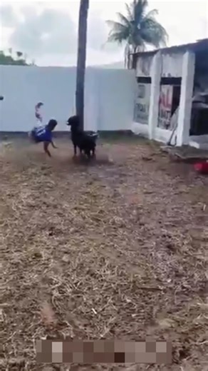 Shocking Moment Goat Attacks a Man 😱 #shorts