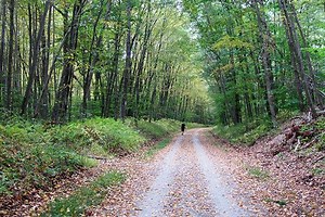 Columbia Trail - Alchetron, The Free Social Encyclopedia