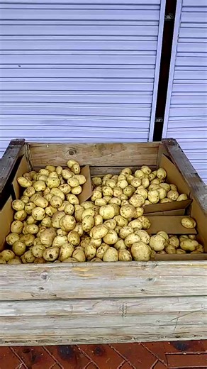 Pay it Forward Huntly Food Rescue Remedy & Huntly Foodbank on Reels