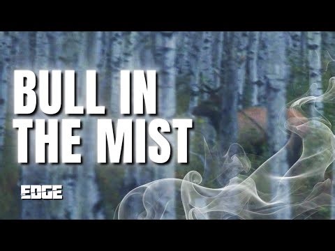 Time To Go Elk | The EDGE | S7E4