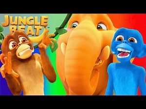 Colorful Animals! | Jungle Beat | Cartoons for Kids | WildBrain Toons